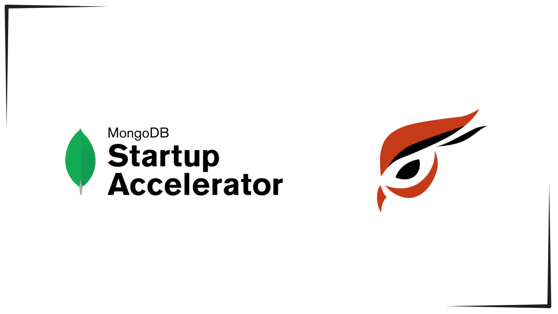 Raptoreum’s MongoDB Startup Accelerator Partnership